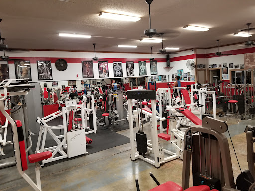 The Gym