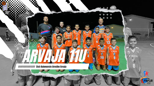 Club Baloncesto Arvaja