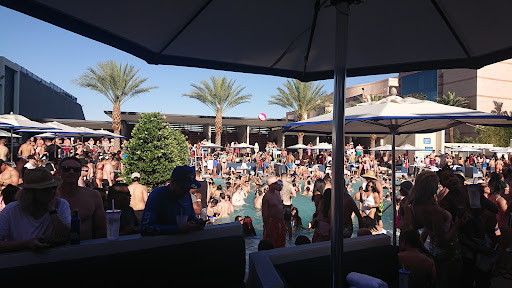 Palm Tree Beach Club