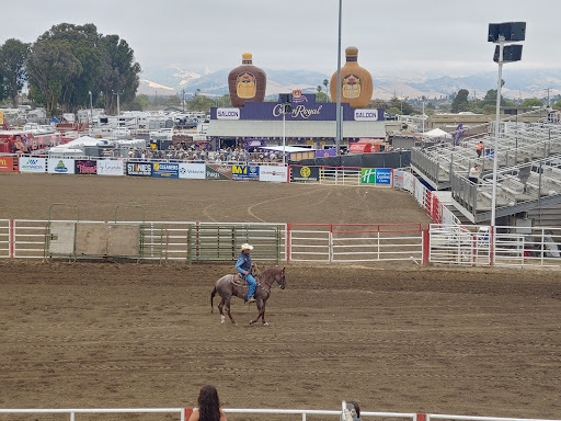 Salinas Rodeo