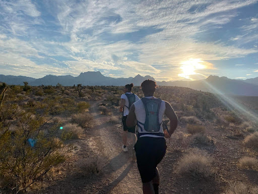 Silverback Boxing Training Systems