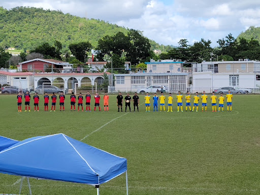 Parque Bairoa Futbol Club