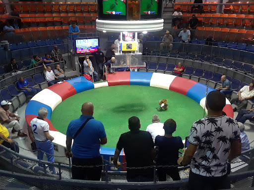 Club Gallístico de Puerto Rico