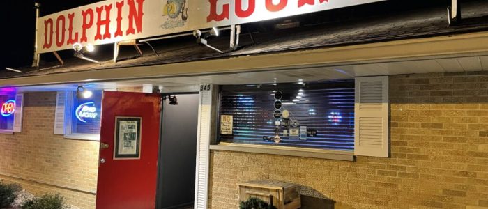 Dolphin Lounge: Lounge Exótico con Delfines en Ambiente Relajante
