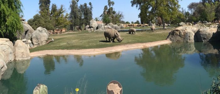 Mejores Discotecas en Fresno CA 2025: Guía Completa y Top Lugares